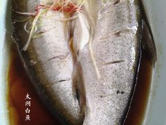 -竹雨堂创意中国菜(裕华店)