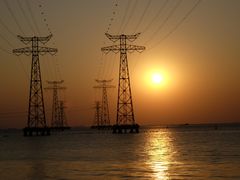 -宝安西湾红树林湿地公园