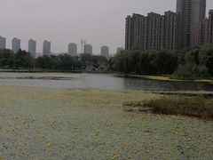 -仙女湖公园