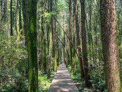 -同里国家湿地公园