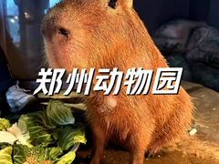 -郑州市动物园