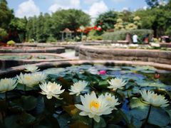 -广州莲花山旅游区