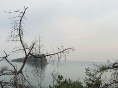 -棒棰岛宾馆景区