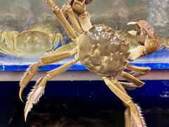 -阳澄湖大闸蟹·琼灵阁牌品牌连锁(吴中总店)