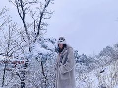 -武陵山森林公园