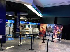 -奥斯卡升龙国际影城(RealD Cinema)