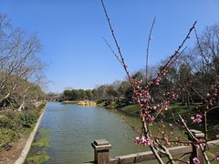 -上海海湾国家森林公园