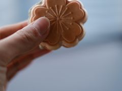 -Hi City·城市之巅