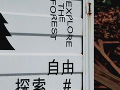 -大屏嶂森林公园