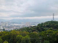 -金鸡山公园