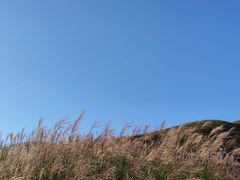 -萍乡武功山风景名胜区