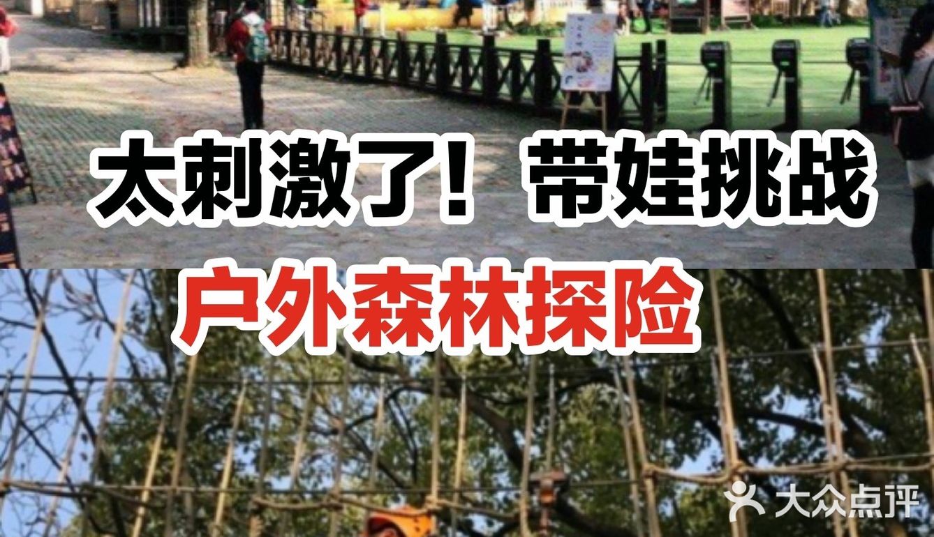 太刺激了！带娃挑战户外森林探险
