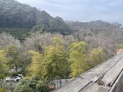 -素描餐厅(灵隐天竺店)