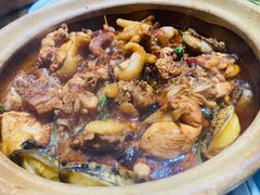 -争鲜·鲍鱼鸡煲(美邻中心店)