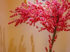 -璞禅足道(观音桥旗舰店)