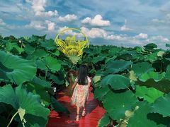 -嘉北郊野公园