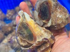 -悦海·家宴·冰花皮皮虾大锅贴(宝龙店)