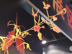 -北京植物园-展览温室