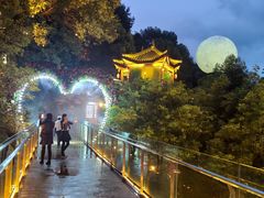 -巴倒烫陆派重庆火锅(南山店)