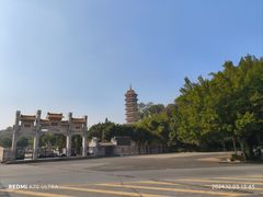 -三水森林公园
