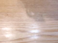 -惠友大虾(太原北街店)