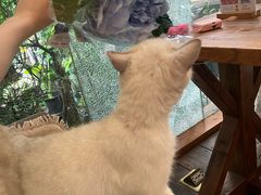-谷咖啡·鲜花绿植花园餐厅