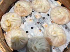 -莱莱小笼·乔艾