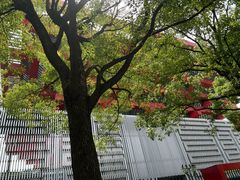 -中华艺术宫(上海美术馆)