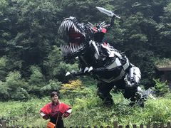 -武隆天坑地缝国家地质公园