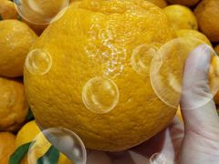 -星轶IMAX影城(桐乡吾悦广场旗舰店)