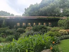 -中国茶叶博物馆(双峰馆区)