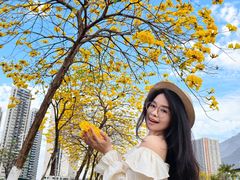 -万江图书馆