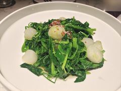 -奉天小馆·非遗东北菜(济南万象城店)