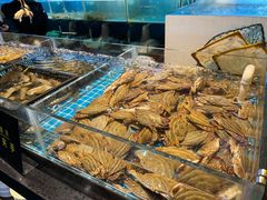 -九月海·海鲜自助(世纪东方店)