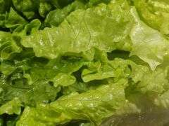 生菜-本炙炭烤·蒲烧活鳗料理店(金沙洲店)