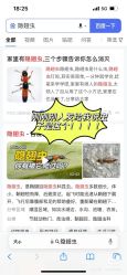 -贰拾捌月子会所·古月(开福店)