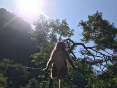 -广西龙虎山风景区