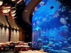 -迪拜帆船酒店海底餐厅