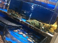 -河马鲜生海鲜超市(风荷园店)