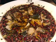 -椒爱水煮鱼川菜(新抚万达店)