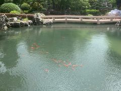 -上海皇廷花园酒店·西餐厅·自助餐