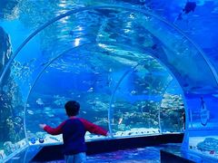 -顺德南宏海立方海洋公园
