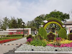 -西海子公园