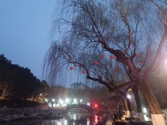 -解放阁