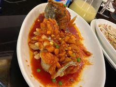 松鼠桂鱼-新南华大酒店(广中店)