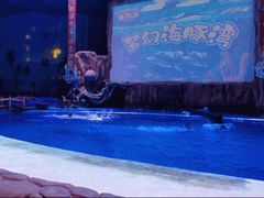 -华夏文旅西安度假区