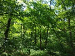 -大青沟风景区