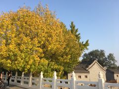 -成都驻京办餐厅(蜀都宾馆店)