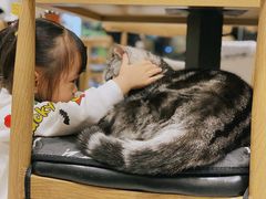 -平行世界·猫咖(首经贸店)