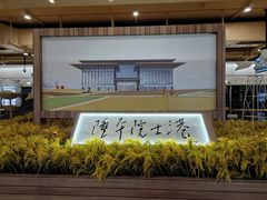 -长洲岛